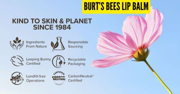 Burt's bees lip balm