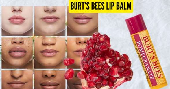 Burt's bees lip balm