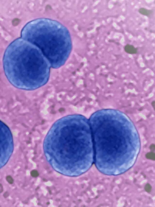 Meningitis increase CDC warns as serious cases.